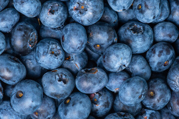 blueberries close up