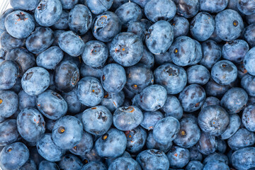 close up of fresh blueberries