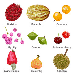 Different fruits with their names on a white background.