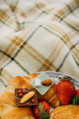 picnic in nature