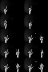 Black and white image of hands demonstrating sign language numbers one to ten against black background with text labels