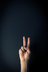 Colour image of hand demonstrating sign language number two against dark background with empty copy space