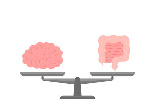 Connection and equality health of brain and intestine gut on scale. Relation health of human brain and gut, second brain. Unity on libra of mental and digestive. Vector flat cartoon illustration