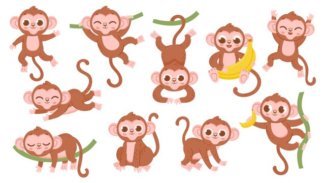 Cute cartoon jungle baby monkey character poses. Exotic tropical animal mascot, ape jumping on tree, holding banana and sleeping vector set