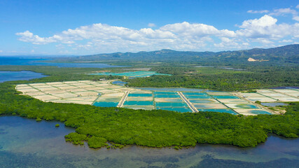Aerial view of a fishery and prawn farm in Bohol, Philippines. Ponds for shrimp farming.