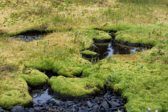 Mikroklima Billeder – Gennemse 5,374 stockfotos, vektorer og videoer ...
