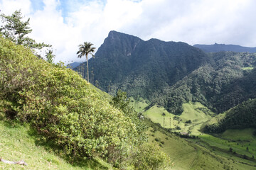 Cocora Valley, which is nestled between the mountains of the Cordillera Central in Colombia. - 450564520