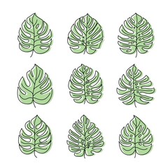 monstera leaves. set of vector color icons isolated on white background