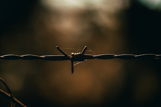 barbed wire with blurred background