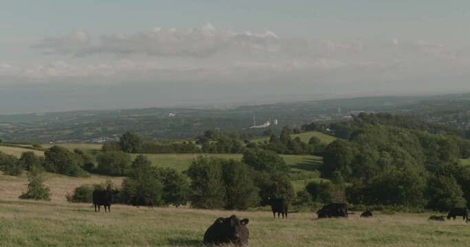 Looking out over Cwmbran and the Bristol Channel from  the Folly Tower