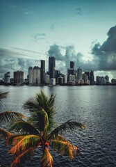 Fototapeta na wymiar city skyline sunrise clouds panorama palms Miami Florida tropical sea sunset travel cute beautiful usa 