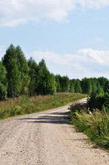 Fototapeta na wymiar Panoramic view of the country road. Dirt road going through the forest. Sunny day in the forest.