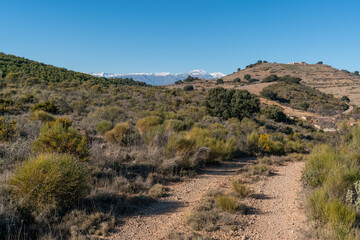 dirt road in the mountain