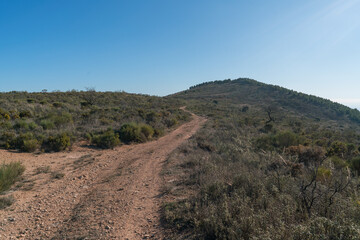 dirt road in the mountain