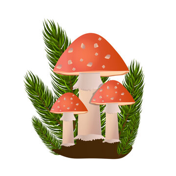 Red amanita mushrooms in forest on white background. Concept of dangerous poisonous mushrooms brightly colored growing in the forest. Flat cartoon vector illustration
