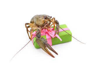 One river crayfish and a gift.
