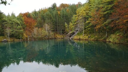 autumn in the forest