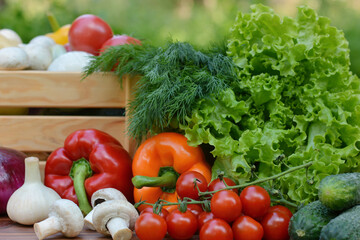 Fresh organic vegetables in a wooden box and on a wooden table on the background of a vegetable garden.Concept of biological, bio products, bio ecology, gardening, healthy food, vegetarianism.