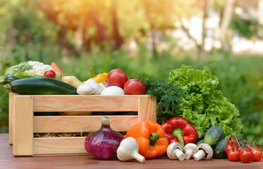 Fresh organic vegetables in a wooden box and on a wooden table on the background of a vegetable garden.Concept of biological, bio products, bio ecology, gardening, healthy food, vegetarianism.
