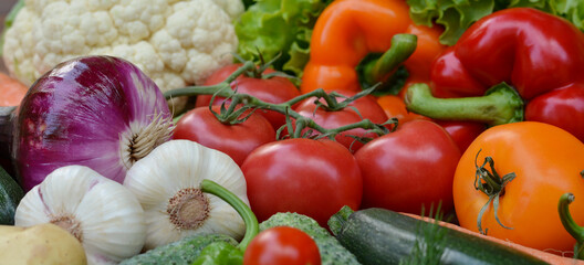 Beautiful fresh organic vegetables . The concept of gardening, healthy eating, vegetarianism.