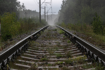 Fototapeta premium Gloomy photograph of a straight long railway. Rails receding and blurring in the distance in thick white fog. In the distance, silhouettes of power poles are visible in the fog. Deep forest is around
