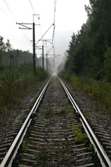 Obraz premium Gloomy photograph of a straight long railway. Rails receding and blurring in the distance in thick white fog. In the distance, silhouettes of power poles are visible in the fog. Deep forest is around