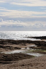 waves and reflections 