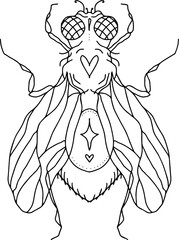 fly silhouette with hearts, eyes, wings, paws, dots and a star. Vector isolated hand drawing insect