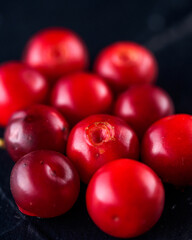 Harvest fresh red Vaccinium vitis-idaea, cranberries, lingonberries, cowberries on rustic dark background. Autumn winter concept. Close-up food image.