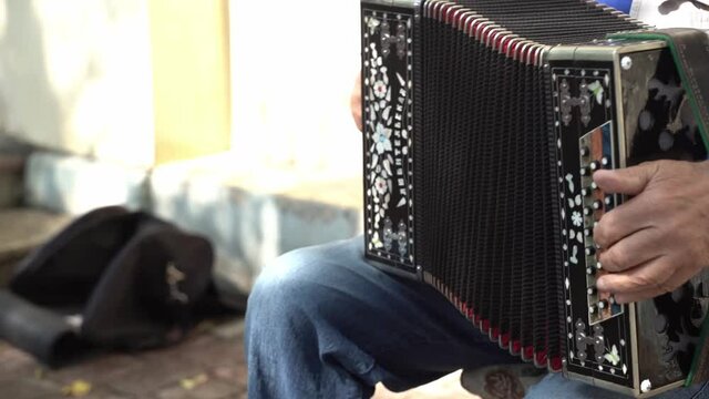 A man plays a Russian accordion, traditional music. Russian national instrument.