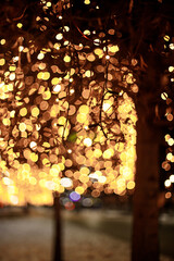 Trees without leaves in a snowy park decorated with festive new year lanterns