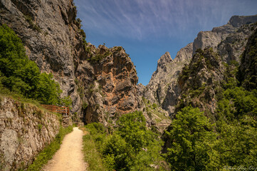landscape with sky