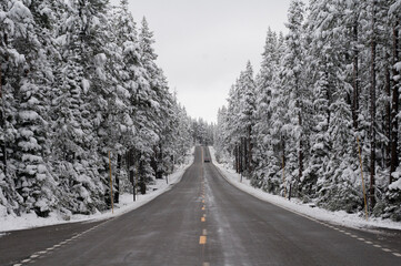Lonely road in Yellowstone national park after a light snowfall
