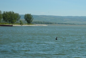 Fototapeta na wymiar a black bird on a rock on a river