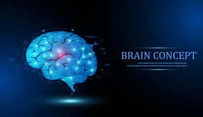 Brain. Low poly abstract digital human brain. Neural network. IQ testing, artificial intelligence virtual emulation science technology concept.