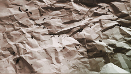 crumpled paper background