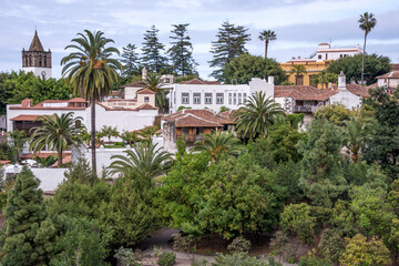 Fototapeta na wymiar Paisaje entre palmeras del pueblo de Icod de los Vinos en el norte de la isla de Tenerife, Canarias