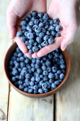Fresh blueberries in hands. Blueberries. A handful of blueberries in hand.