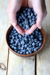 Fresh blueberries in hands. Blueberries. A handful of blueberries in hand.