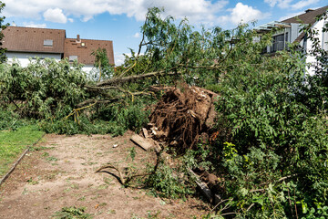 Gefällte Bäume nach Unwetter in einem Park
