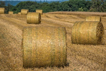 Strohrollen auf abgeerntetem Stoppelfeld