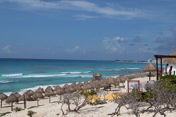 Fototapeta na wymiar Playa con sargazo en Cancún, agua verde, mar con sargazo, playa del caribe 