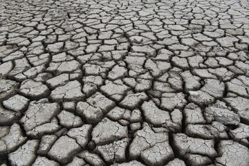 dry cracked earth