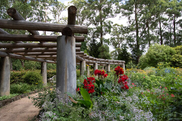 cross in the cemetery