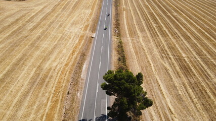 Larga arretera de montaña entre campos cosechados de cebada y trigo