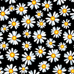 Daisy chamomile seamless vector pattern
- 450580514