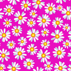 Daisy chamomile seamless vector pattern
