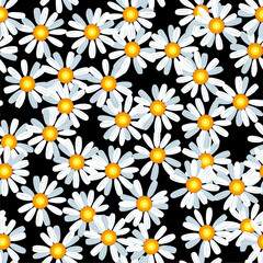 Daisy chamomile seamless vector pattern
- 450580541