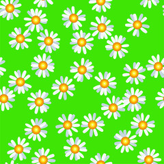 Daisy chamomile seamless vector pattern
- 450580548