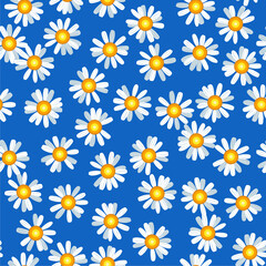 Daisy chamomile seamless vector pattern
- 450580555